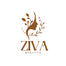 Ziva Beauty store - Home